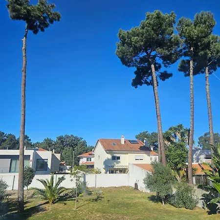 Casa Indigo Aroeira *